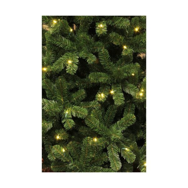 Christmas Tree Black Box (185 x 115 cm) - Image 4
