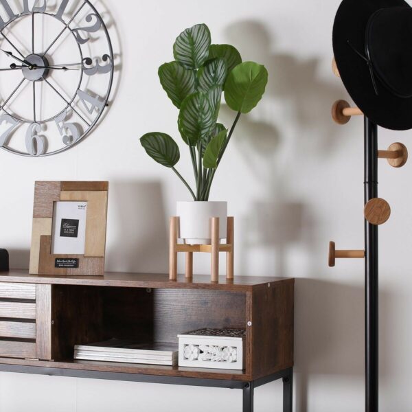 Decorative Plant Versa - Image 2