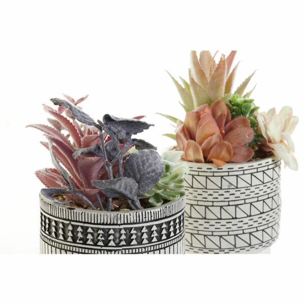 Decorative Plant DKD Home Decor Cactus Resin Polyethylene 11 x 11 x 21 cm (2 Units) - Image 2