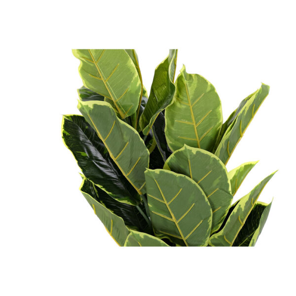 Decorative Plant DKD Home Decor Polyethylene Green 40 x 40 x 120 cm Urban - Image 3