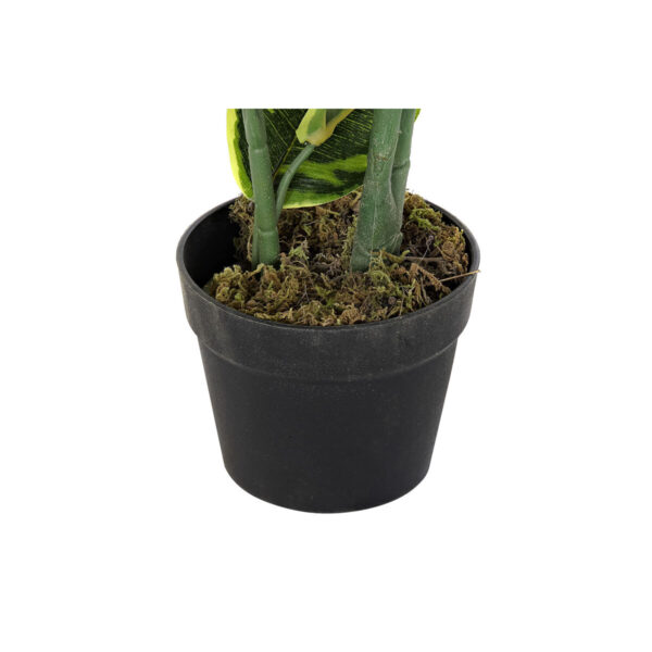 Decorative Plant DKD Home Decor Polyethylene Green 40 x 40 x 120 cm Urban - Image 2