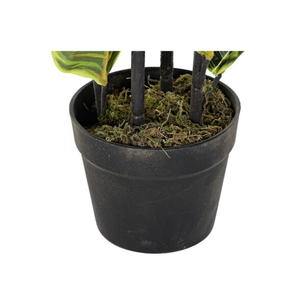 Decorative Plant DKD Home Decor Polyethylene Urban 40 x 40 x 90 cm - Image 2