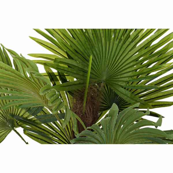 Decorative Plant DKD Home Decor Palm tree Green PE (40 x 40 x 90 cm) - Image 3