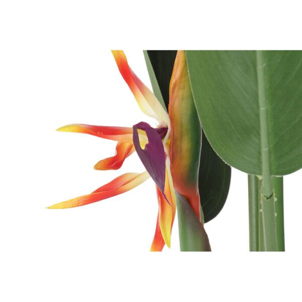 Decorative Plant DKD Home Decor 75 x 75 x 180 cm Orange Green Yellow polypropylene Bird of paradise - Image 2