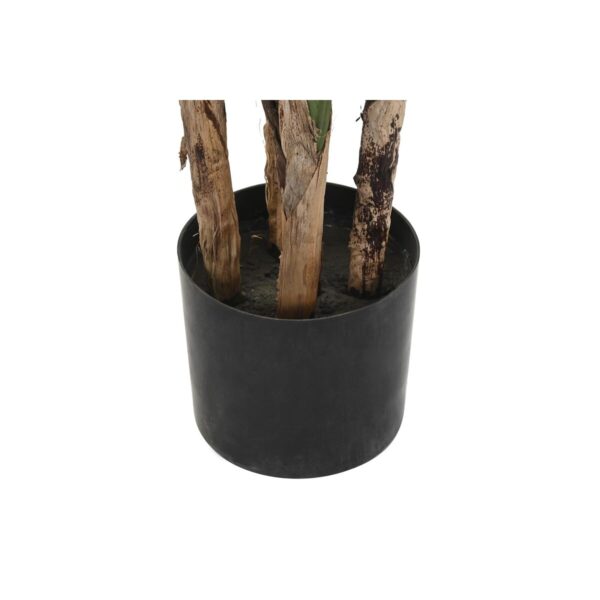 Decorative Plant DKD Home Decor (90 x 90 x 200 cm) - Image 3