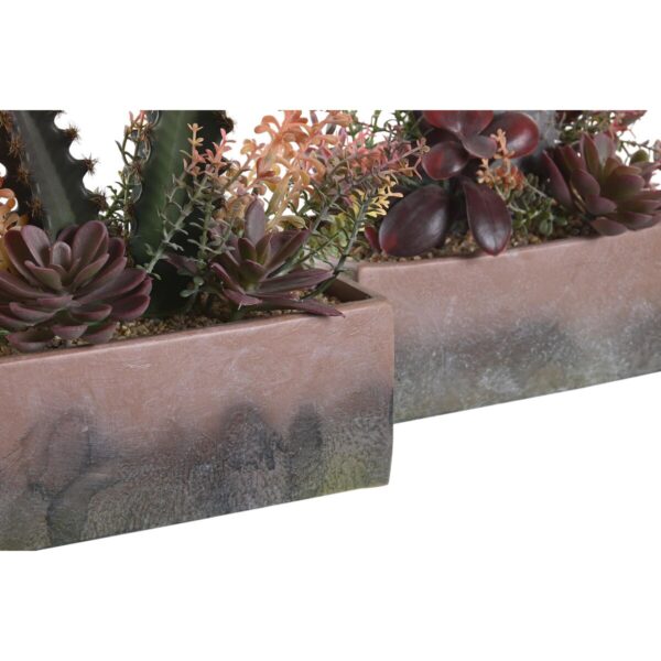 Decorative Plant DKD Home Decor 19 x 9 x 22 cm Pink Orange Cactus Eva Rubber polypropylene (2 Units) - Image 3