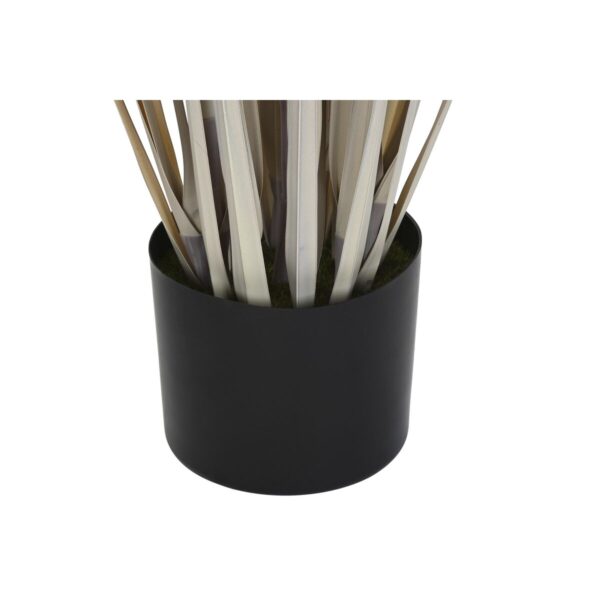 Decorative Plant DKD Home Decor Rushes (35 x 35 x 120 cm) - Image 3