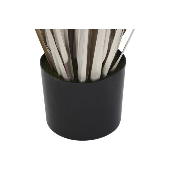 Decorative Plant DKD Home Decor Rushes (45 x 45 x 150 cm) - Image 2