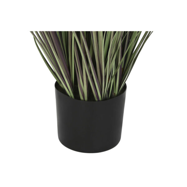Decorative Plant Home ESPRIT Plastic - Image 4