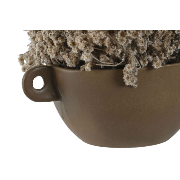 Decorative Plant Home ESPRIT Flower 22 x 22 x 14 cm (2 Units) - Image 3