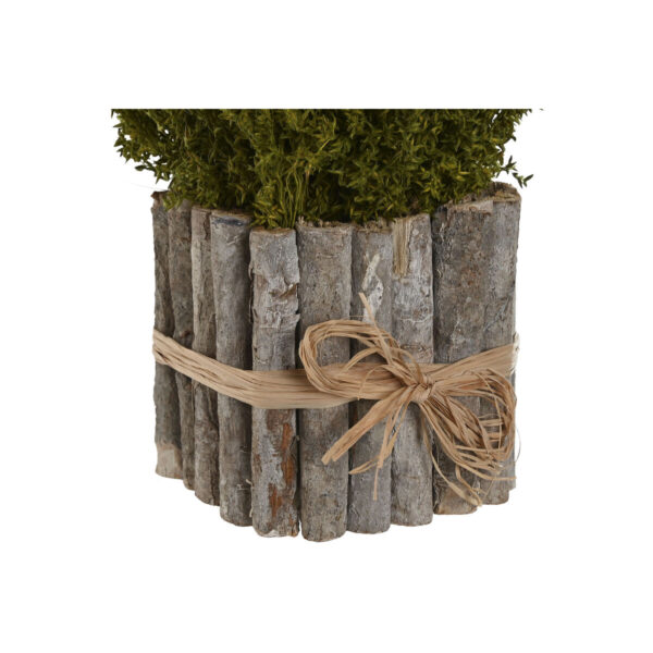 Decorative Plant Home ESPRIT Flower 18 x 18 x 24 cm (2 Units) - Image 3