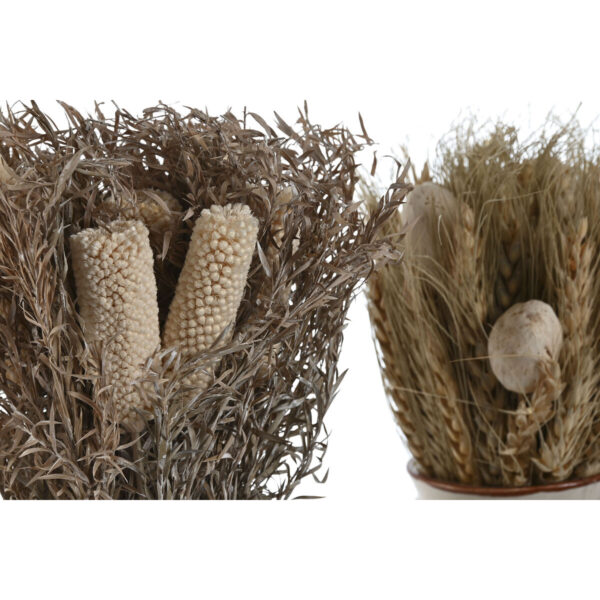 Decorative Plant Home ESPRIT Flower 13 x 13 x 25 cm (2 Units) (12 Units) - Image 2