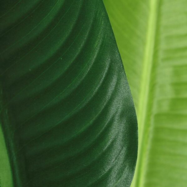 Decorative Plant PVC Iron Bird of paradise 150 cm - Image 3