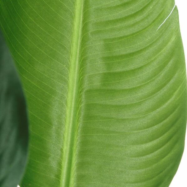 Decorative Plant PVC Iron Bird of paradise 150 cm - Image 4