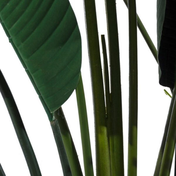 Decorative Plant Polyethylene Iron Cement Bird of paradise 245 cm 120 x 120 x 245 cm - Image 2