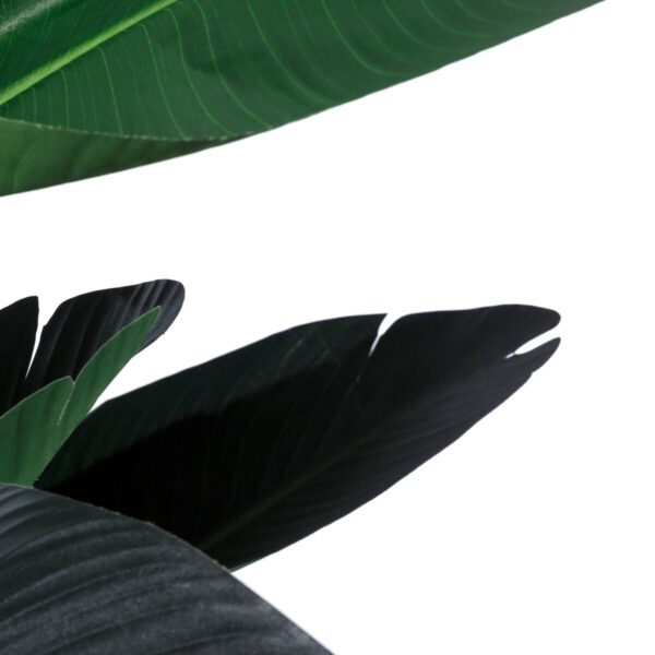 Decorative Plant Polyethylene Iron Cement Bird of paradise 245 cm 120 x 120 x 245 cm - Image 3