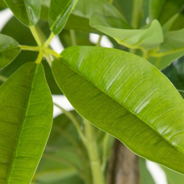 Decorative Plant 54 x 52 x 120 cm Green PVC - Image 2
