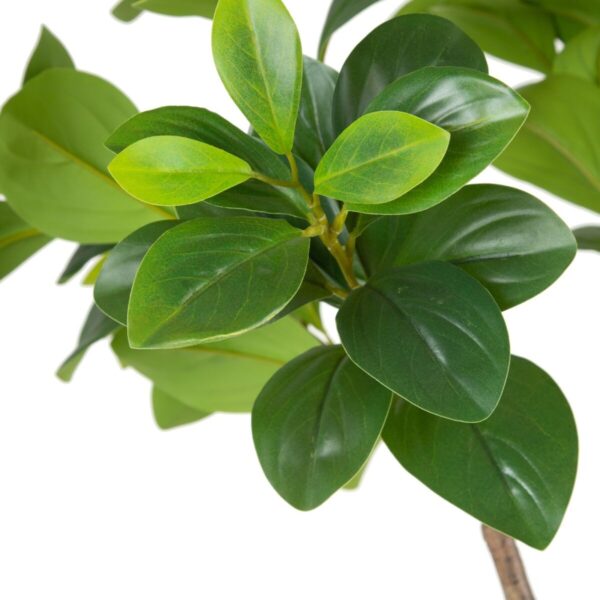 Decorative Plant Green PVC 145 cm Peperomia - Image 4