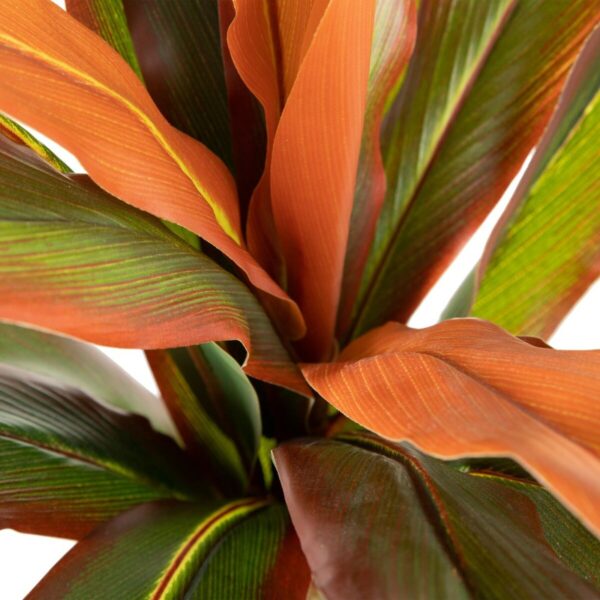 Decorative Plant Dracaena Brown Green PVC 140 cm - Image 3