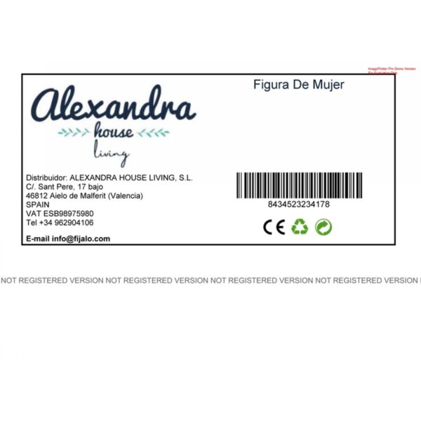 Decorative Figure Alexandra House Living Polyresin Oriental Music 18 x 61 x 21 cm - Image 7