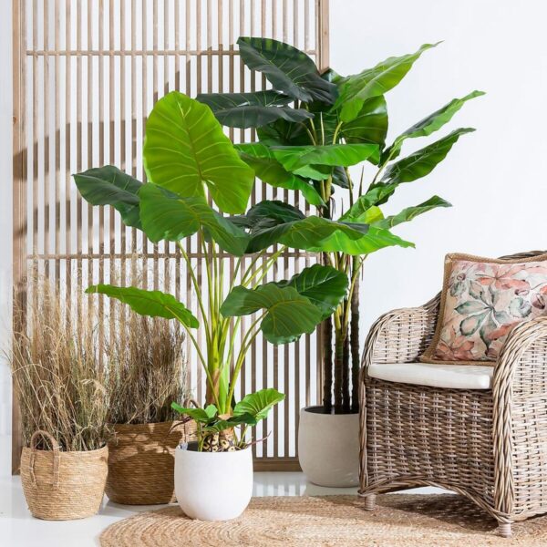 Decorative Plant 80 x 90 x 140 cm Green Philodendron - Image 2