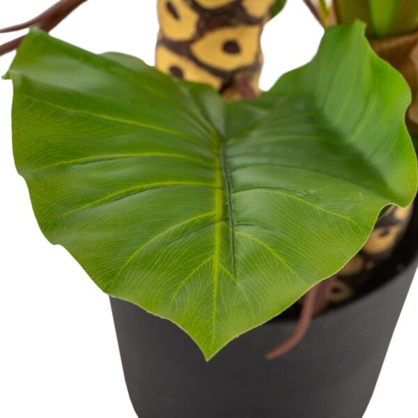 Decorative Plant 80 x 90 x 140 cm Green Philodendron - Image 5