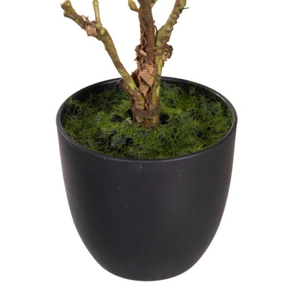 Decorative Plant Polyester Polyethylene Iron 25 x 25 x 49 cm Magnolia - Image 3