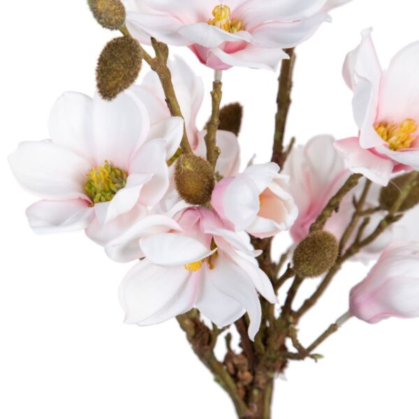 Decorative Plant Polyester Polyethylene Iron 30 x 30 x 60 cm Magnolia - Image 2