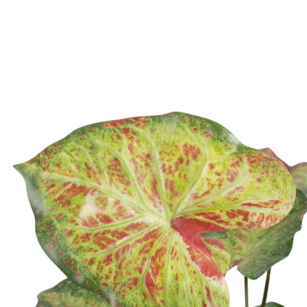 Decorative Plant 48 x 46 x 55 cm Red Green PVC - Image 4