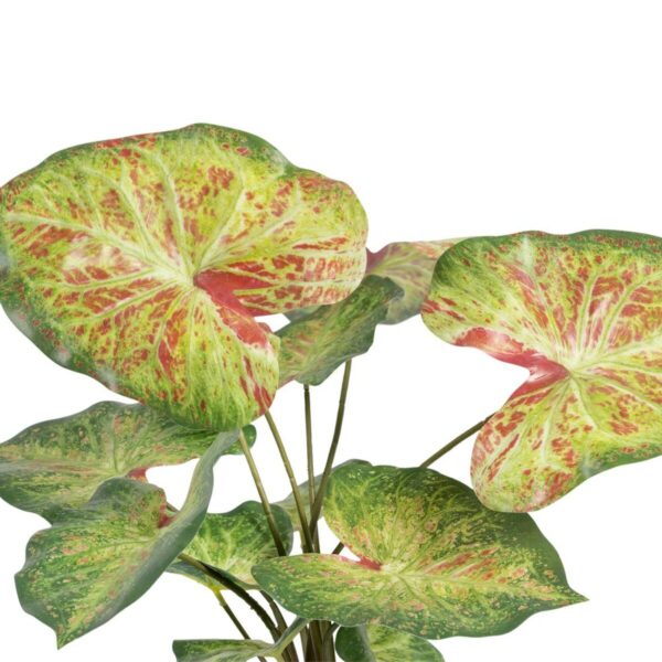Decorative Plant 48 x 46 x 55 cm Red Green PVC - Image 3