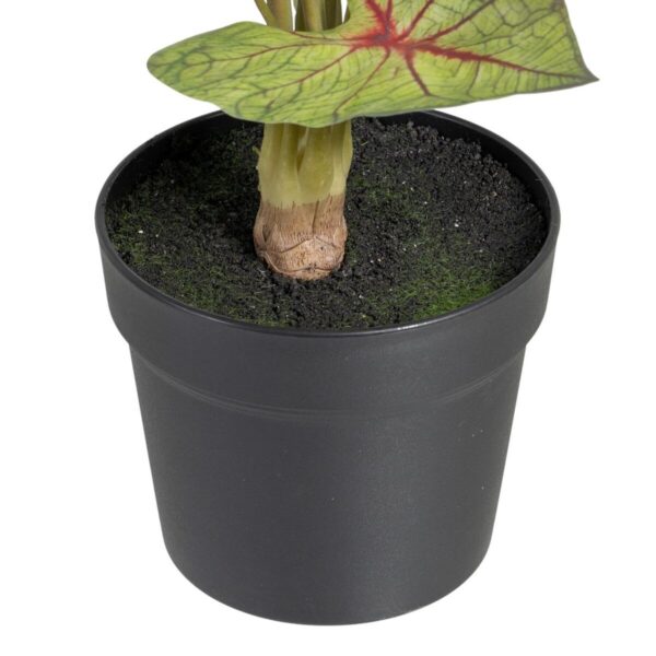 Decorative Plant Red Green PVC 40 x 35 x 55 cm - Image 2