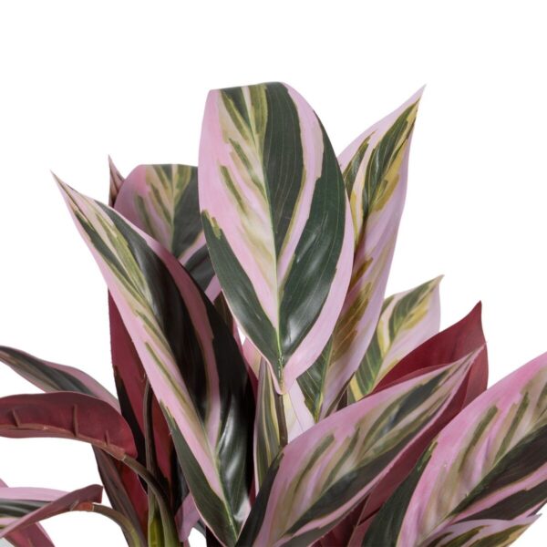 Decorative Plant 44 x 39 x 48 cm Pink Green PVC - Image 3