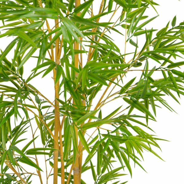 Decorative Plant Polyethylene Bamboo 90 x 86 x 220 cm - Image 3