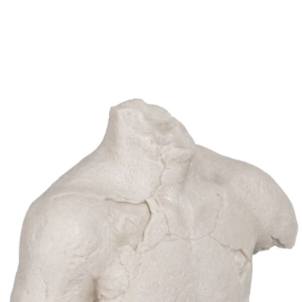 Decorative Figure Black Cream 26,5 x 14 x 45 cm - Image 6