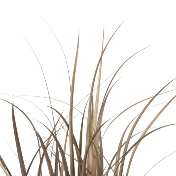Decorative Plant PVC Steel Cement 122 cm 14 x 14 x 13 cm - Image 5