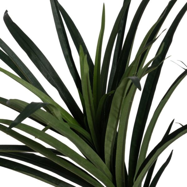 Decorative Plant Rubber polypropylene 70 x 70 x 130 cm - Image 2