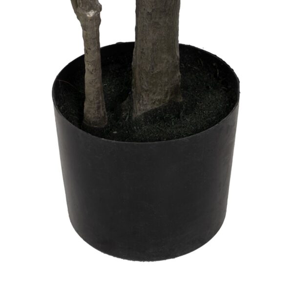Decorative Plant Rubber polypropylene 70 x 70 x 130 cm - Image 6