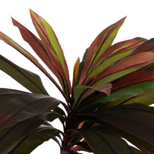 Decorative Plant Rubber polypropylene 80 X 80 X 165 CM - Image 2