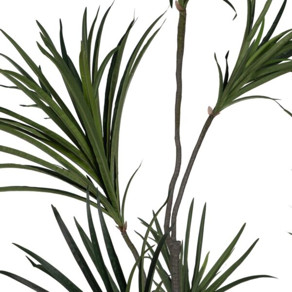 Decorative Plant Rubber polypropylene 90 X 90 X 220 CM - Image 3