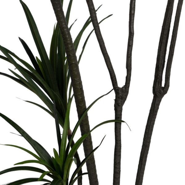 Decorative Plant Rubber polypropylene 90 X 90 X 220 CM - Image 5