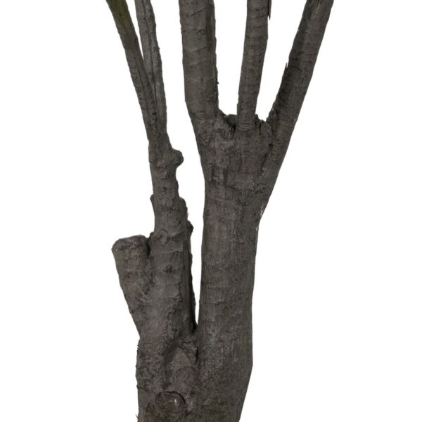 Decorative Plant Rubber polypropylene 90 X 90 X 220 CM - Image 6
