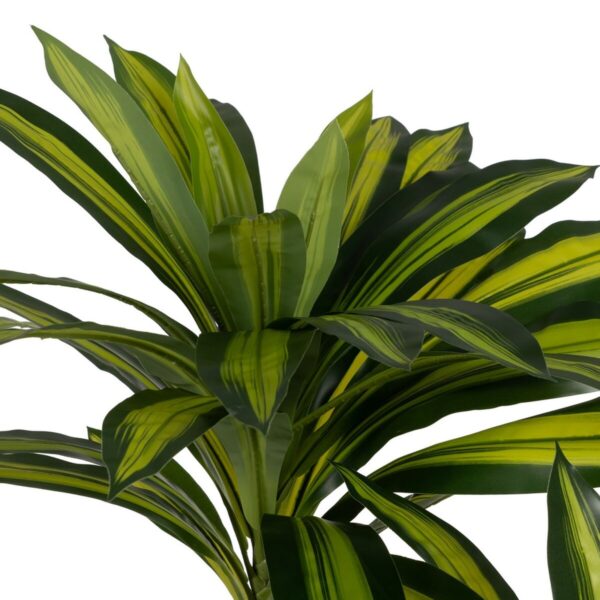 Decorative Plant Rubber polypropylene 100 x 100 x 200 cm - Image 2