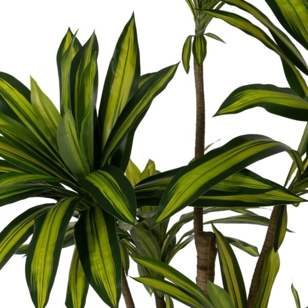Decorative Plant Rubber polypropylene 100 x 100 x 200 cm - Image 3