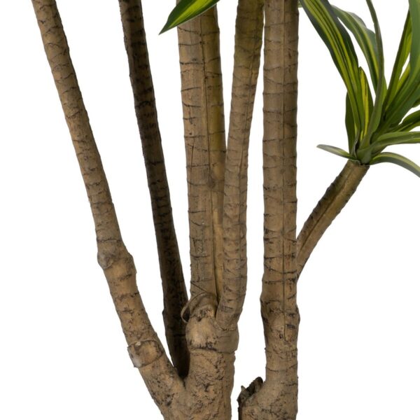 Decorative Plant Rubber polypropylene 100 x 100 x 200 cm - Image 5