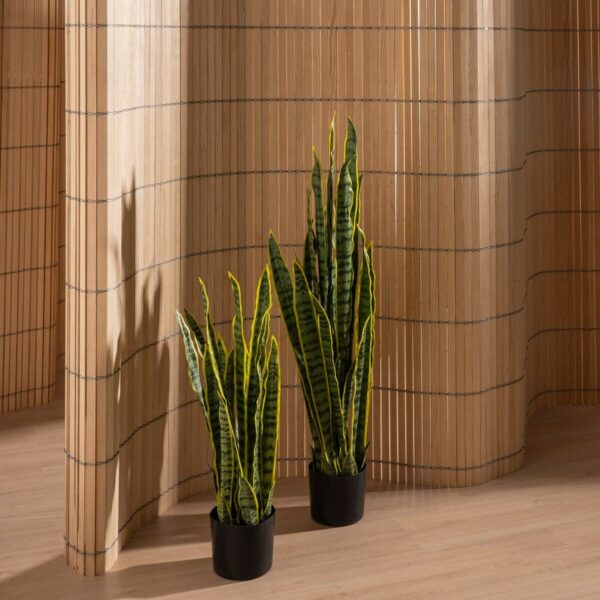 Decorative Plant Rubber polypropylene 20 x 20 x 80 cm - Image 5