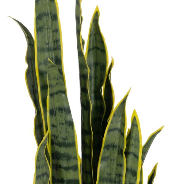 Decorative Plant Rubber polypropylene 20 X 20 X 115 CM - Image 2