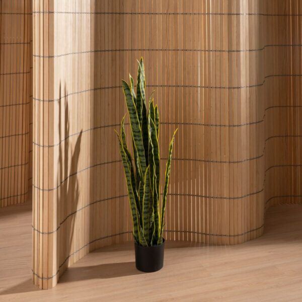 Decorative Plant Rubber polypropylene 20 X 20 X 115 CM - Image 6