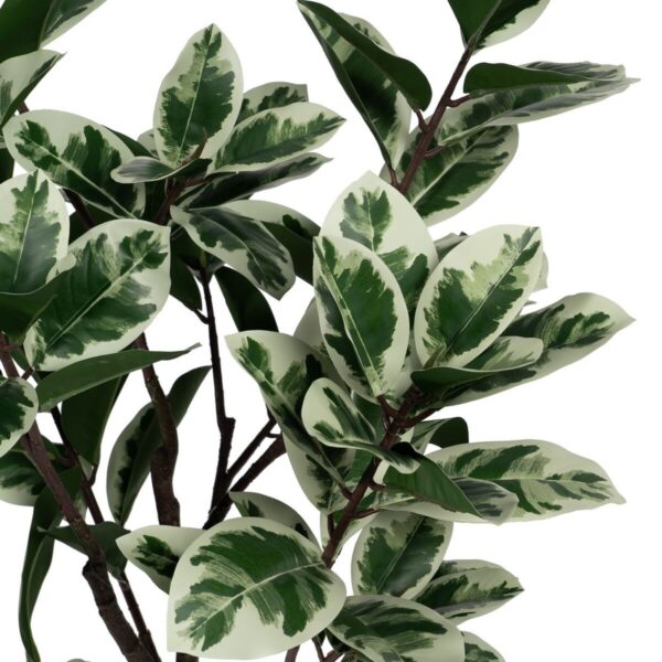 Decorative Plant Rubber 70 x 70 x 150 cm - Image 3