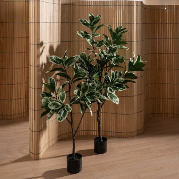 Decorative Plant Rubber 70 x 70 x 150 cm - Image 7