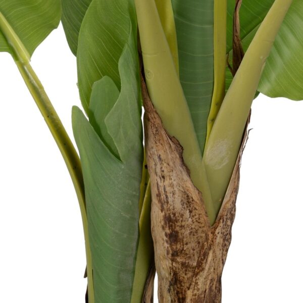 Decorative Plant Rubber 90 X 90 X 125 CM - Image 4